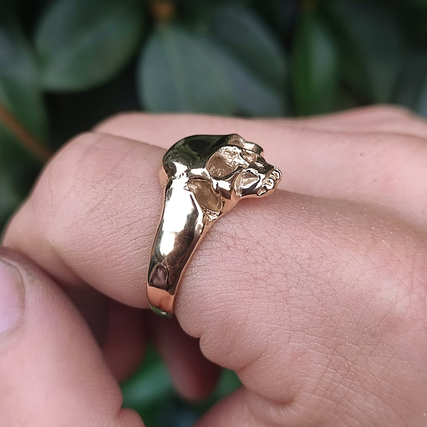 A hand holds the Skull Ring 9ct Gold by silverhollowjewellery, crafted in 9ct yellow gold and shaped like an animal skull, with green leaves blurred in the background.