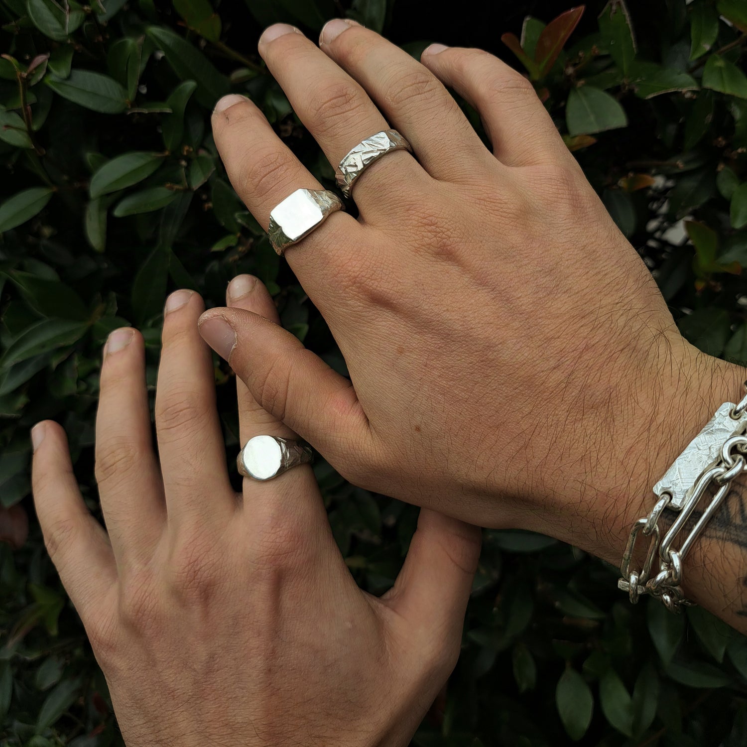 Two hands wearing multiple silver rings and a bracelet are held against a background of green leaves.