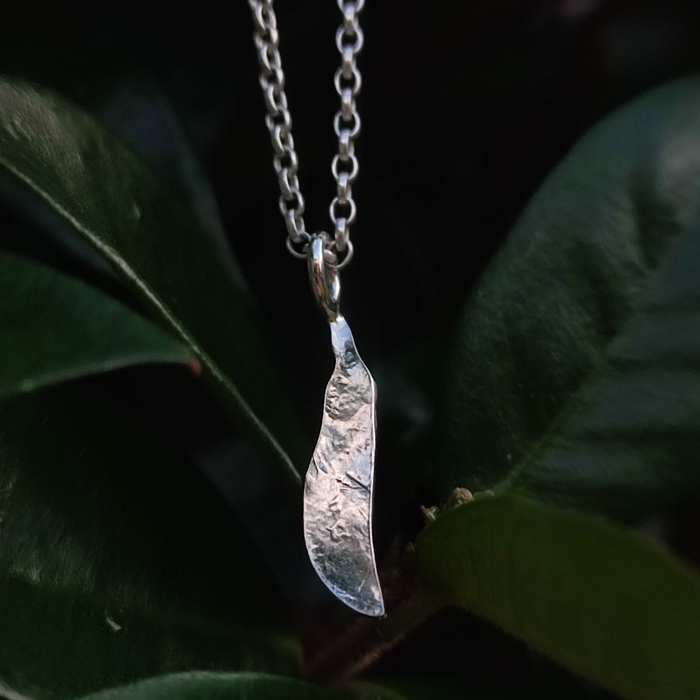 The Feather Pendant- Sterling Silver by silverhollowjewellery is a unisex necklace featuring a curved, textured silver feather on a chain, displayed against dark green leaves.