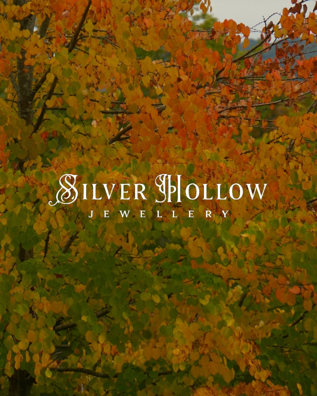 The Silver Hollow Jewellery logo over an autumnal coloured tree