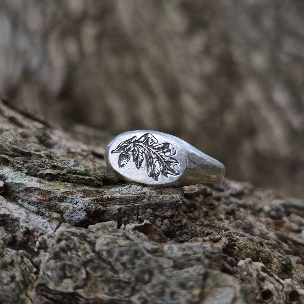 Silver ring with oak leaf design on a tree trunk