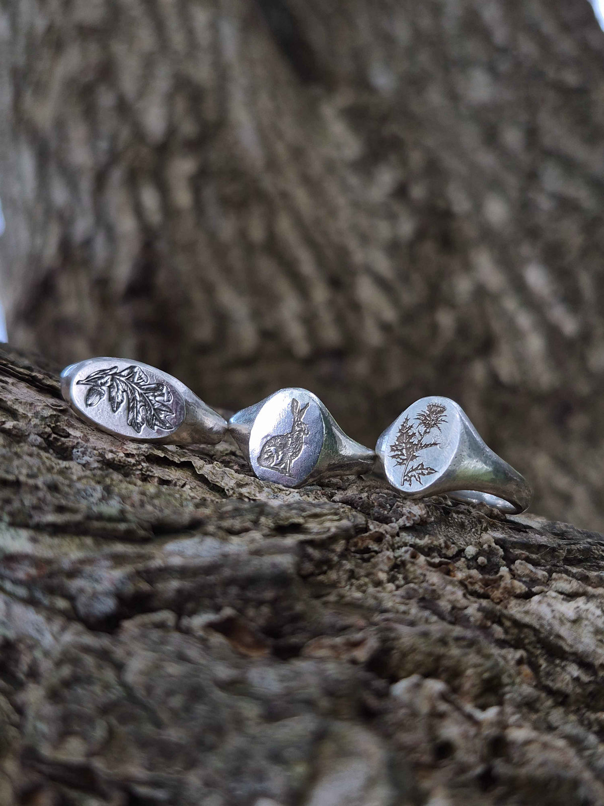 Three silver rings with engraved nature designs on a tree trunk.