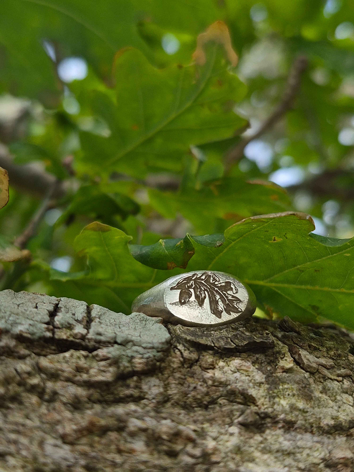 Silver ring with tree design on a tree branch with leaves