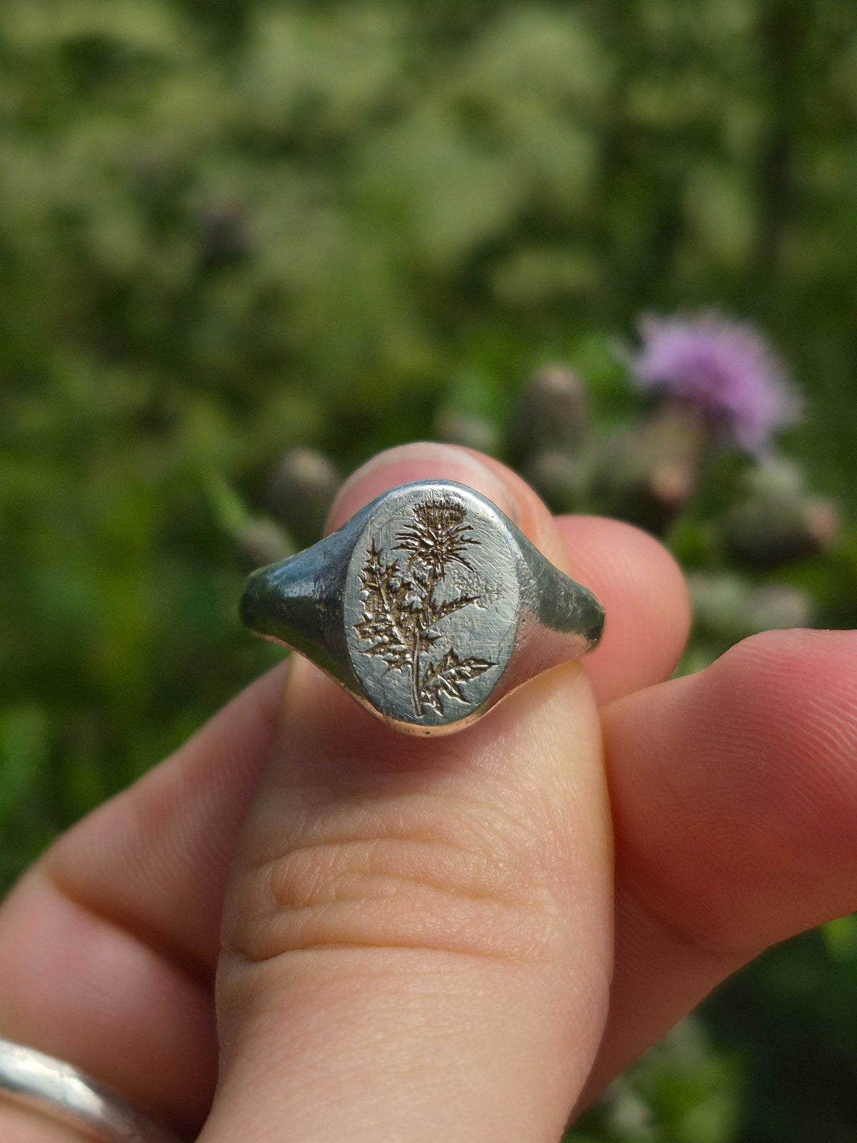 Silver ring with engraved thistle design held in a hand against a blurred natural background