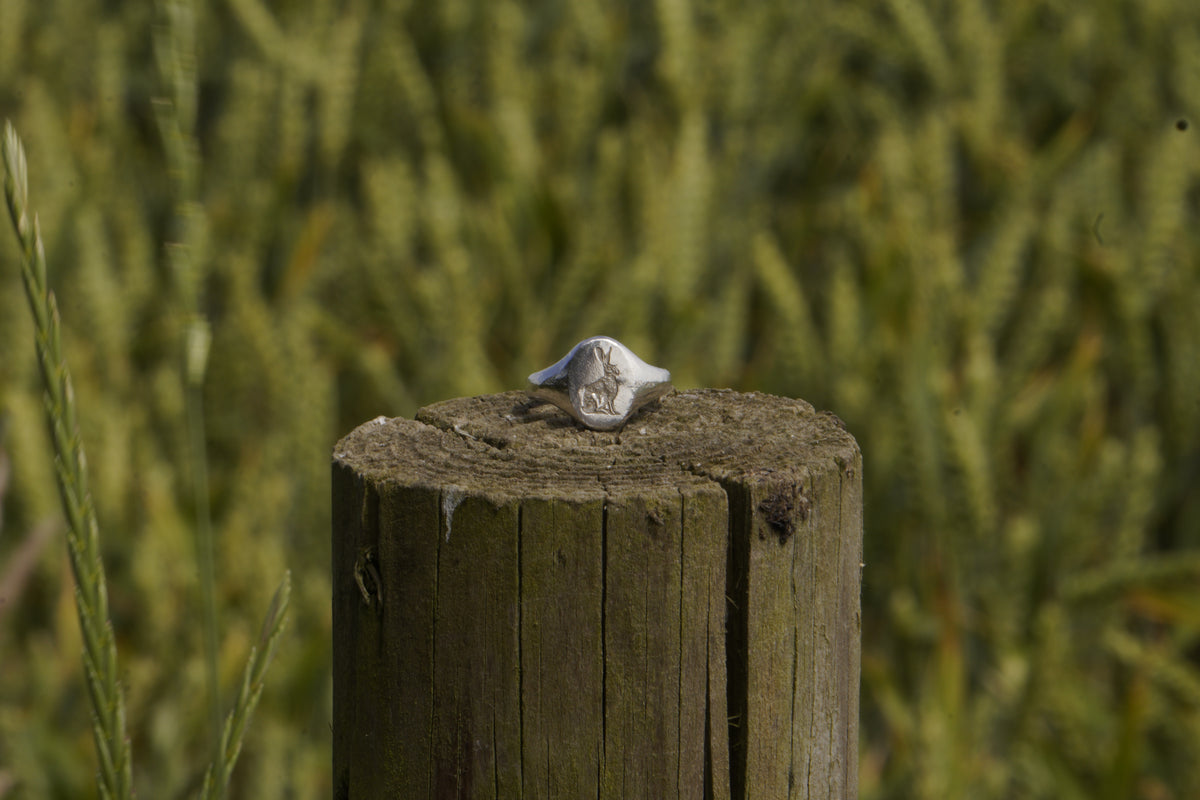 Silver ring on a wooden post with a blurred green background